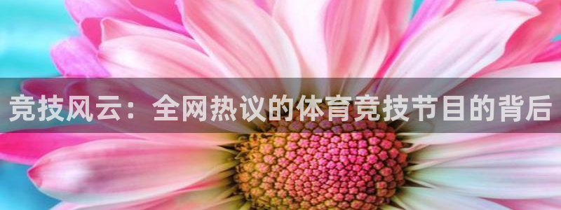 V体育入1335 top：竞技风云：全网热议的体育竞技节目的背后