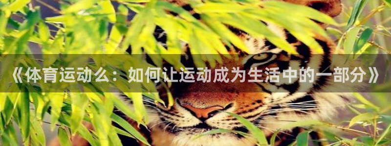 v体育官网登录入口：《体育运动么：如何让运动成为生活中的一部分》