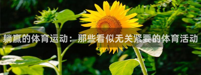 v体育入口官网：躺赢的体育运动：那些看似无关紧要的体育活动