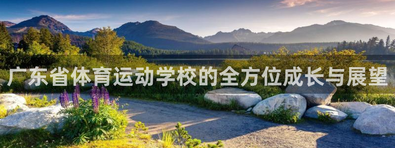 V体育在线登录入口：广东省体育运动学校的全方位成长与展望
