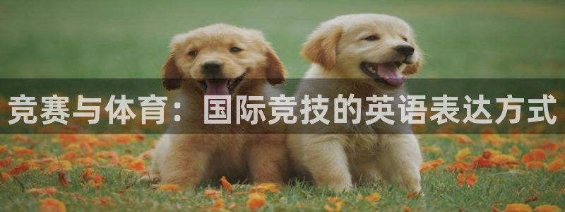 v体育入口官网：竞赛与体育：国际竞技的英语表达方式